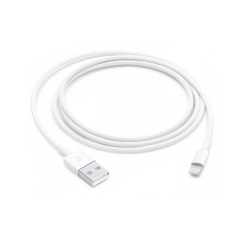 Apple to USB 1m