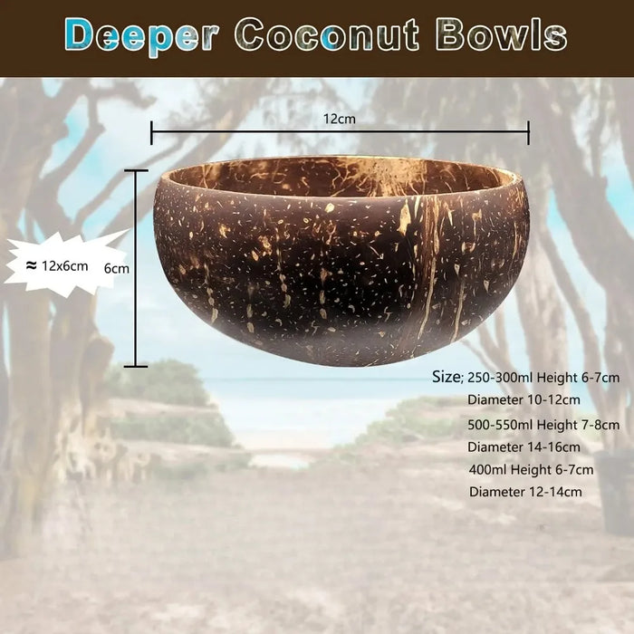 Natural Coconut Shell Bowl